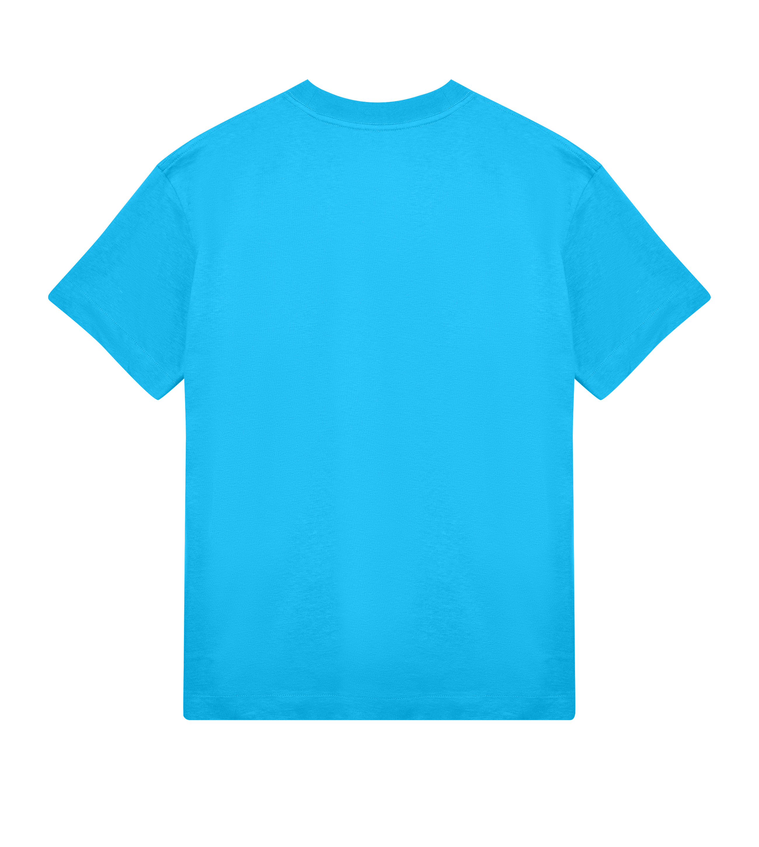 Bastet Mens Boxy t-Shirt